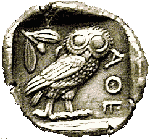 owl